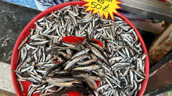 Foto - Balık fiyatları cep yakıyor! En ucuz balık tirsi oldu