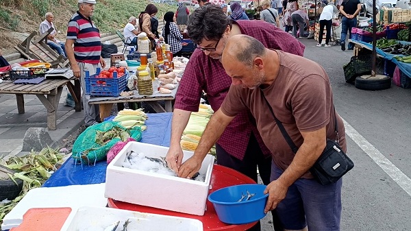 Foto - Balık fiyatları düştü mü?