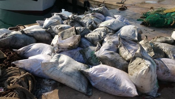 Foto - Balık için attıkları ağa öyle bir şey takıldı ki, görenleri şoke etti! Yılların balıkçılarının bile ağzı açık kaldı