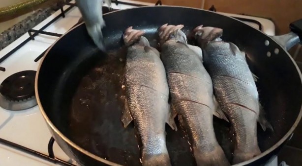 Foto - Balık Lezzetli ama kılçığı bazen sorun oluyor! Boğaza kaçan balık kılçığı nasıl çıkar? 