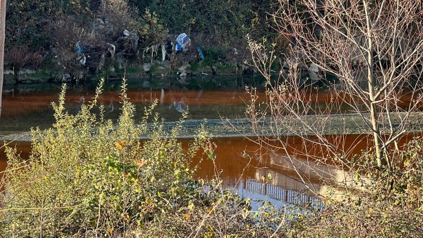 Foto - Balık ölümleri yaşanmıştı! Tereddüt eden görüntüye para cezası