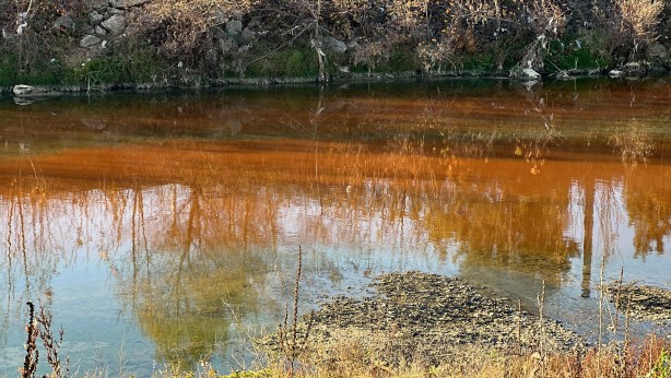 Balık ölümleri yaşanmıştı! Tereddüt eden görüntüye para cezası