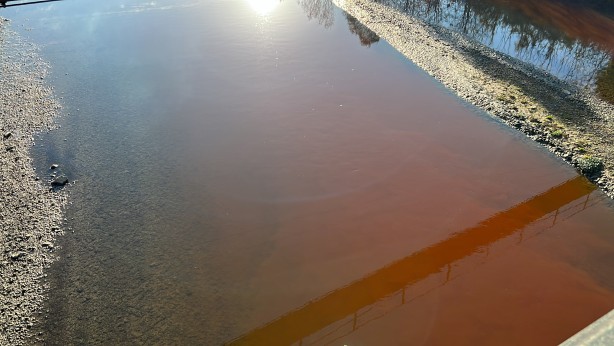 Foto - Balık ölümleri yaşanmıştı! Tereddüt eden görüntüye para cezası