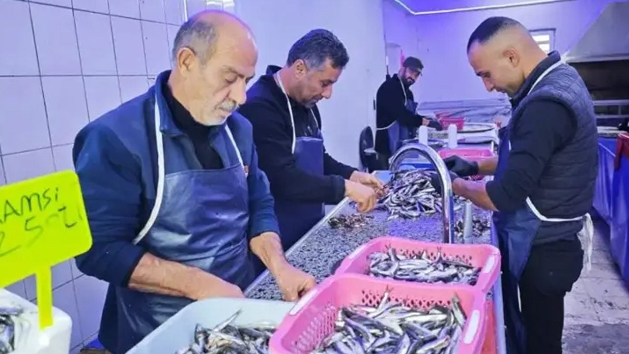 Foto - Balık satışları patladı: Çinekop satışta, yaşını ölçün! Çok önemli olabilir dikkat etmek lazım