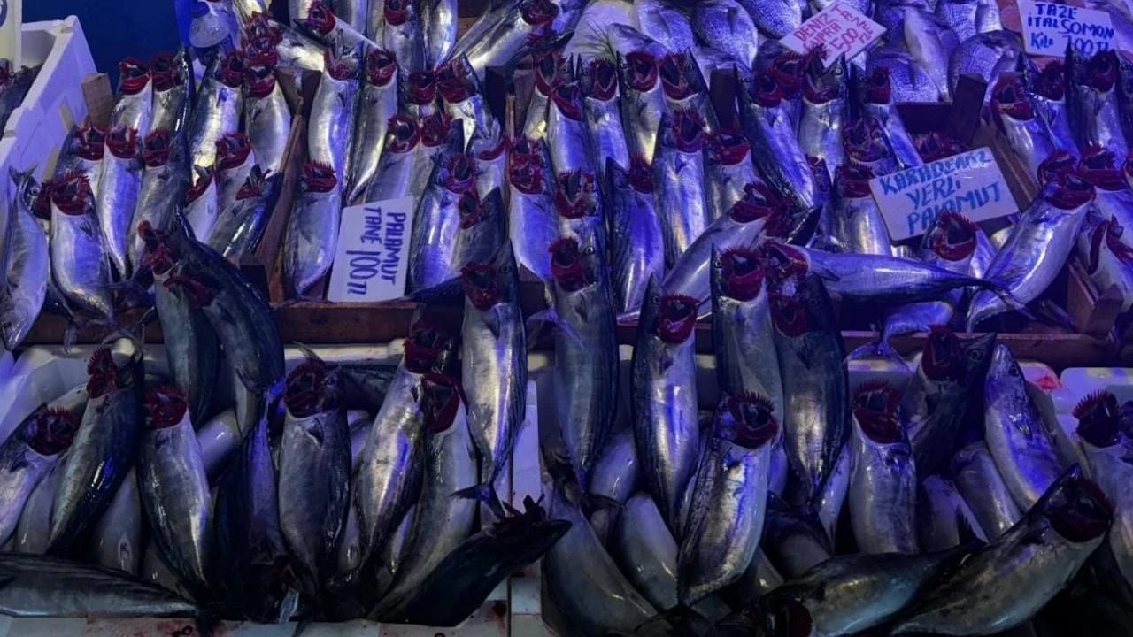 Foto - Balık satışları patladı: Çinekop satışta, yaşını ölçün! Çok önemli olabilir dikkat etmek lazım