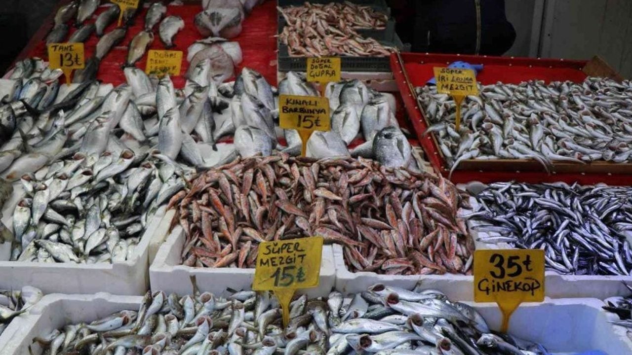  Balık satışları patladı: Çinekop satışta, yaşını ölçün! Çok önemli olabilir dikkat etmek lazım