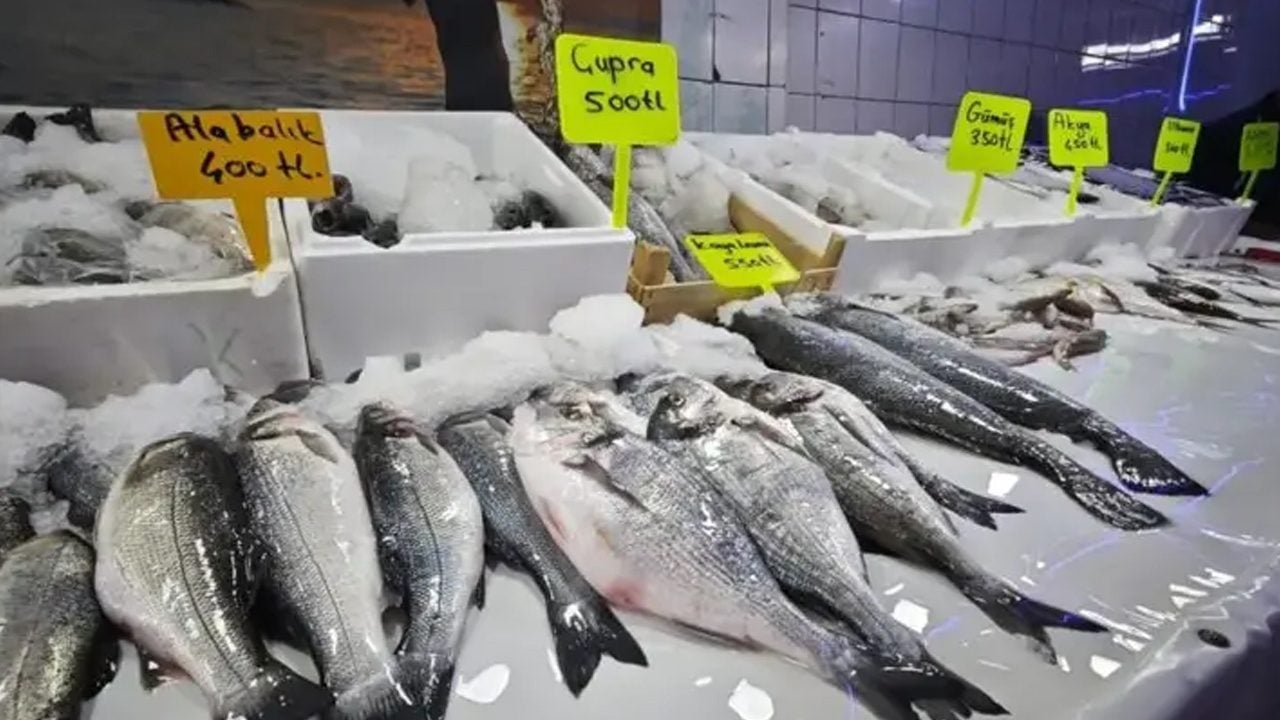 Foto - Balık satışları patladı: Çinekop satışta, yaşını ölçün! Çok önemli olabilir dikkat etmek lazım