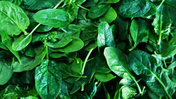 Foto - Balık sevmeyenlere Omega-3 içeren gıda tavsiyesi 