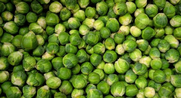 Foto - Balık sevmeyenlere Omega-3 içeren gıda tavsiyesi 