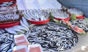 Balık sezonu başladı: Binbir şifa var, sağlık deposu! İşte eylül ayında tüketilecek balıklar ve faydaları nelerdir?