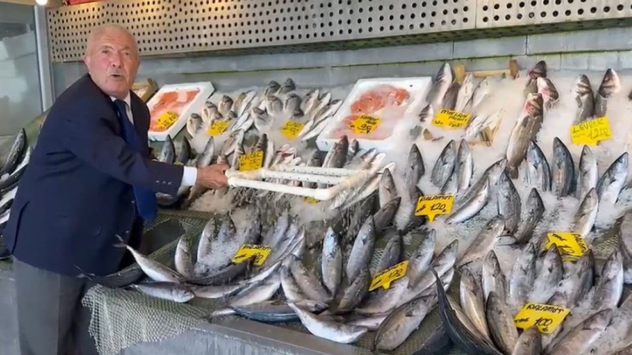 Balık sezonu bereketli açıldı! Hamsi ve palamut tezgahları şenlendirdi