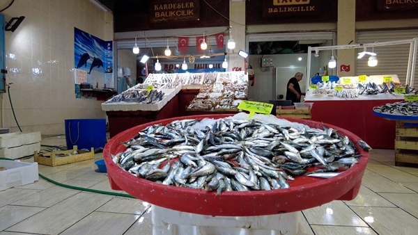 Foto - Balık tezgahları dolup taştı... Fiyatlar düştü