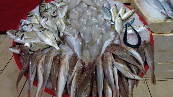 Foto - Balık tezgahları dolup taştı... Fiyatlar düştü