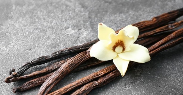 Foto - Balık tüketenler bu ayrıntıya dikkat! Uzman isim uyardı! Zengin besin kaynağı ama…