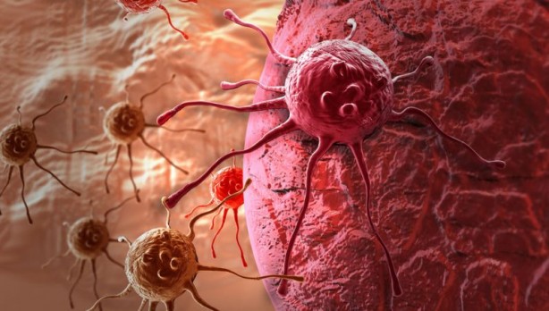 Foto - Balık tüketenler bu ayrıntıya dikkat! Uzman isim uyardı! Zengin besin kaynağı ama…