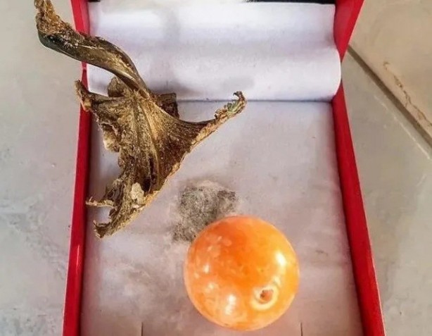 Foto - Balık tutmak için gittiler, zengin olup döndüler! Böyle iş görülmedi: Ağlarına öyle bir şey takıldı ki, aman aman