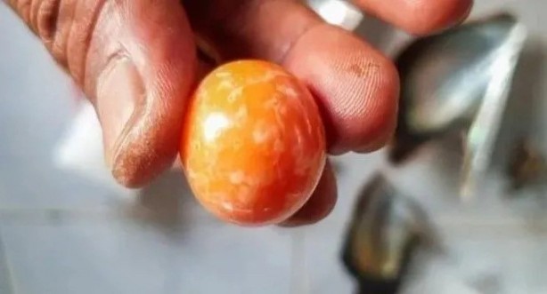 Foto - Balık tutmak için gittiler, zengin olup döndüler! Böyle iş görülmedi: Ağlarına öyle bir şey takıldı ki, aman aman