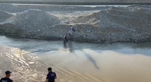 Foto - Balık tutmaya gittiler! Başlarına gelmeyen kalmadı