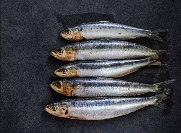 Foto - Balık yedikten sonra öyle bir hastalığa yakalandılar ki doktorlar bile ilk defa duydu! Bir kişi öldü, onlarcası hastalandı