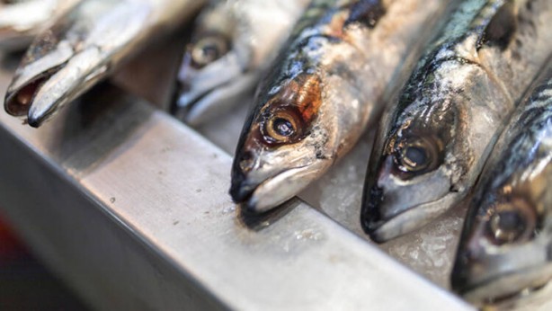 Foto - Balık yiyecekler dikkat! Bu hatayı sakın yapmayın