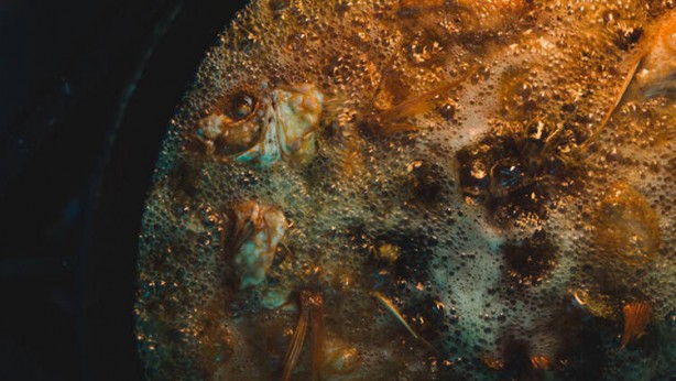 Balık yiyecekler dikkat! Bu hatayı sakın yapmayın