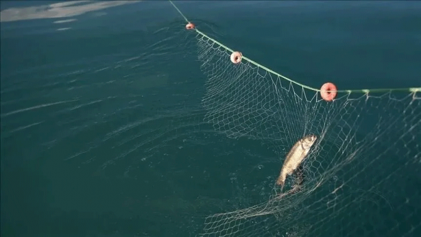 Foto - Balıkçılar dikkat! O tarih itibariyle yasaklanıyor...