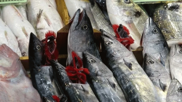 Foto - Balıkçılar dikkat! O tarih itibariyle yasaklanıyor...