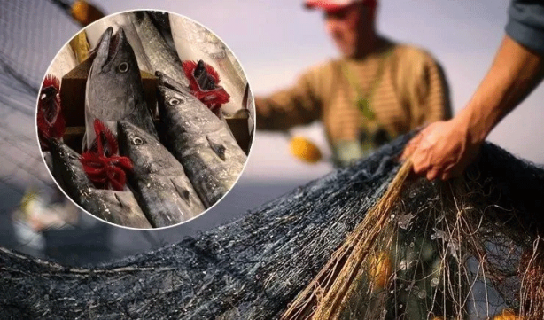 Balıkçılar dikkat! O tarih itibariyle yasaklanıyor...