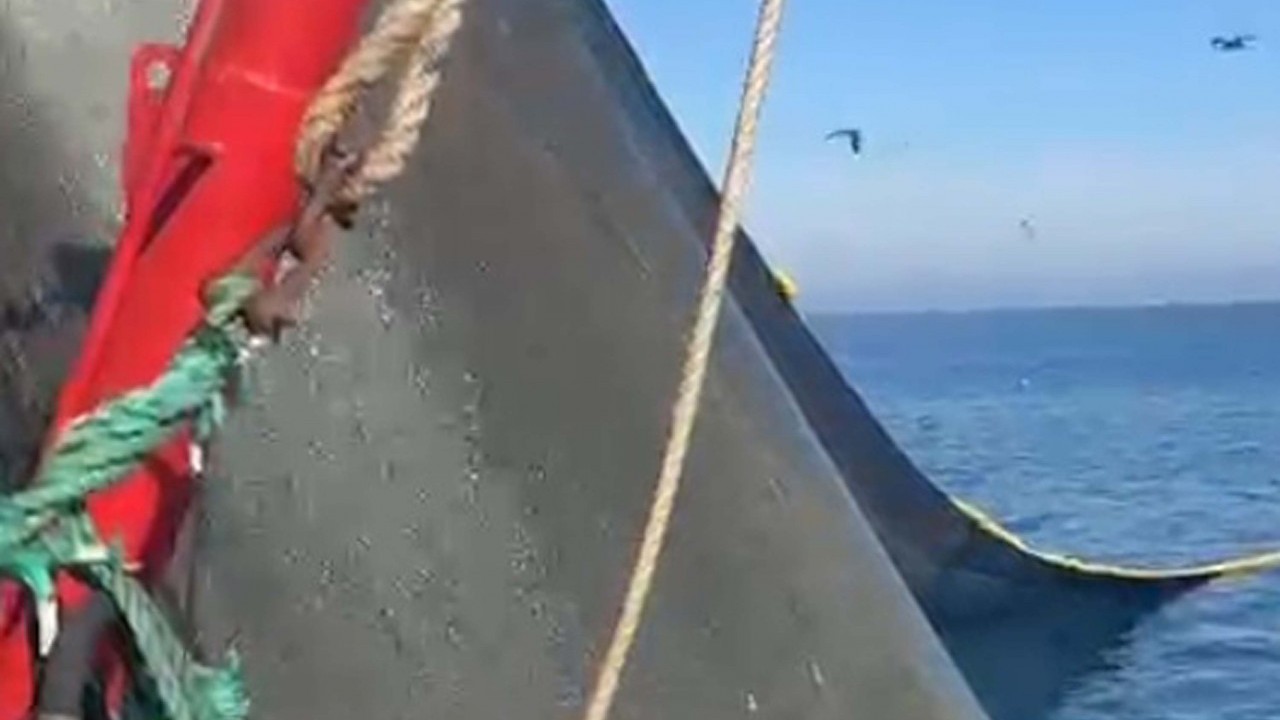 Foto - Balıkçılar fark etti: Marmara Denizi'ndeki kabus geri döndü!