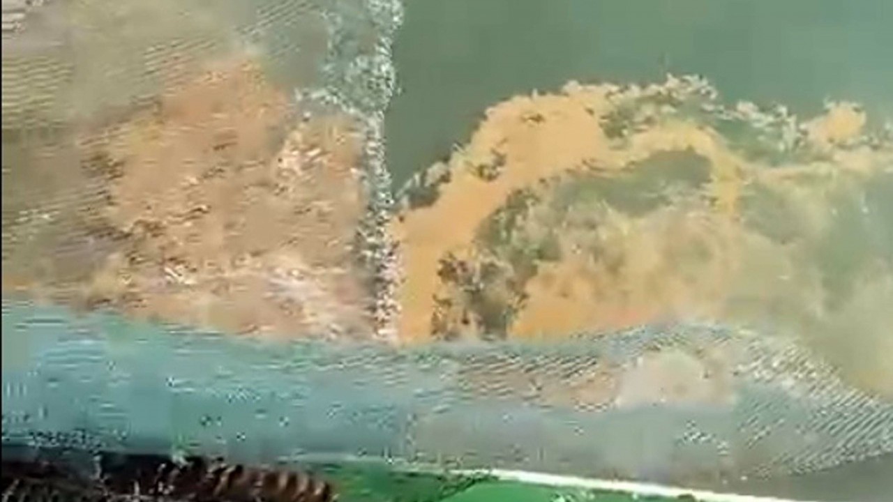 Balıkçılar fark etti: Marmara Denizi'ndeki kabus geri döndü!