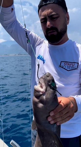 Foto - Balıkçılar gözlerine inanamadı! Antalya'da köpek balığı oltaya takıldı