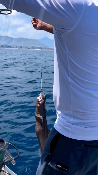 Foto - Balıkçılar gözlerine inanamadı! Antalya'da köpek balığı oltaya takıldı