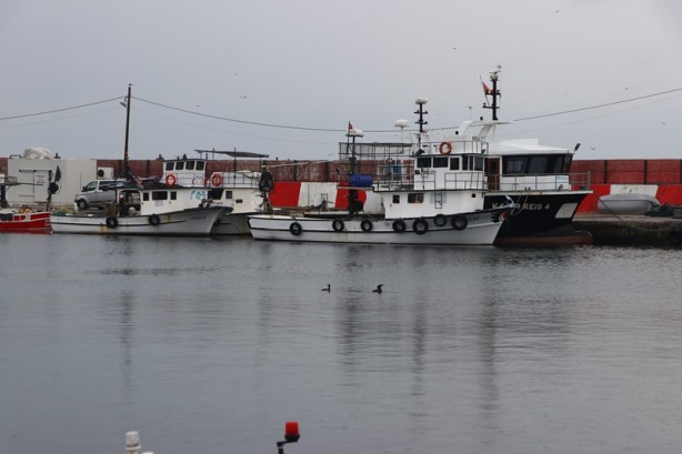 Foto - Balıkçılar havanın normale dönmesiyle yeniden denize açıldı