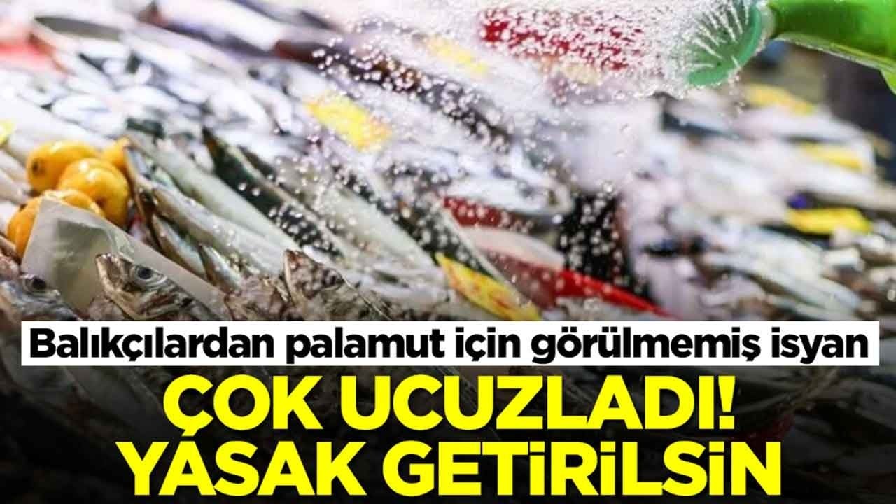 Balıkçılardan palamut için görülmemiş isyan: Çok ucuzladı, yasak getirilsin