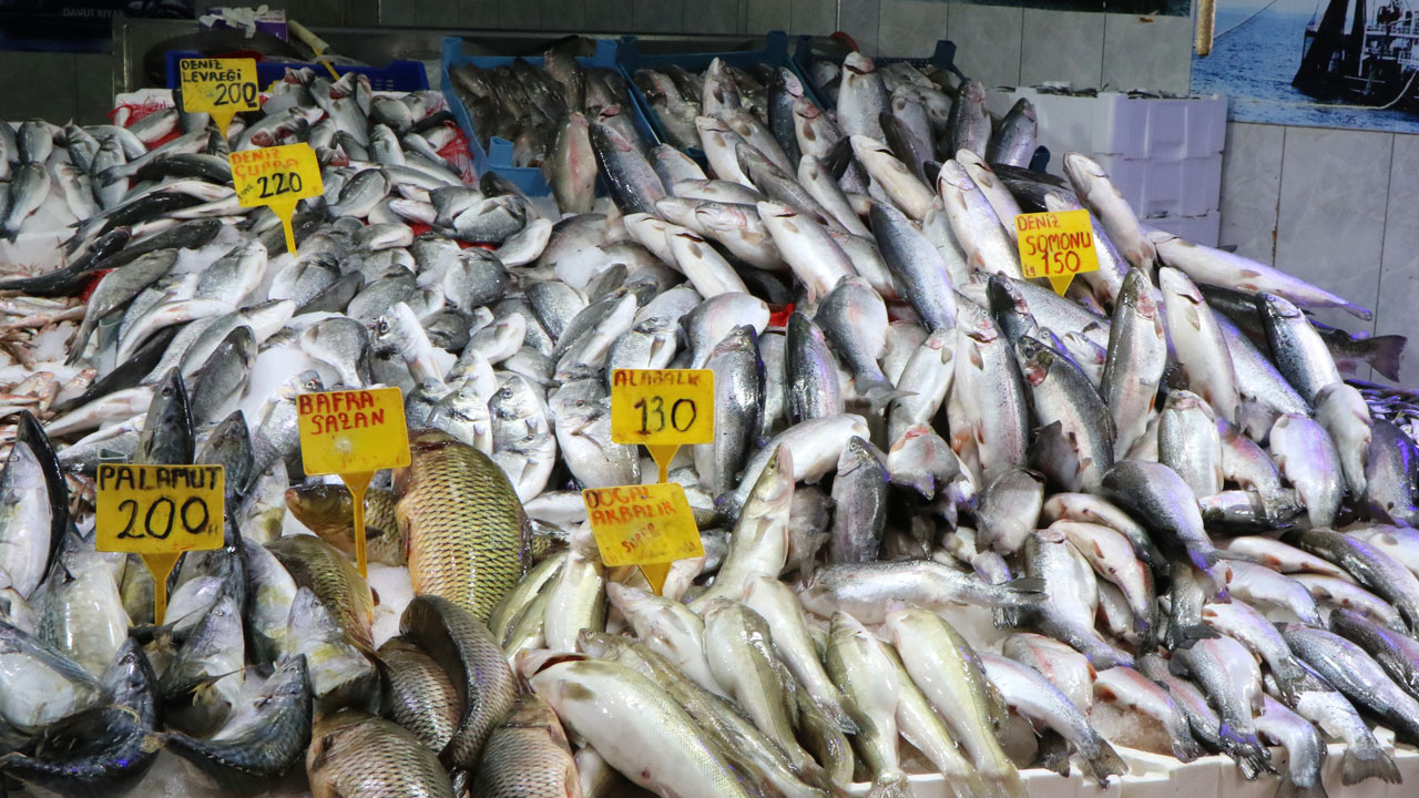 Balıkçıların gözü yarında! Karadeniz hamsisi geliyor