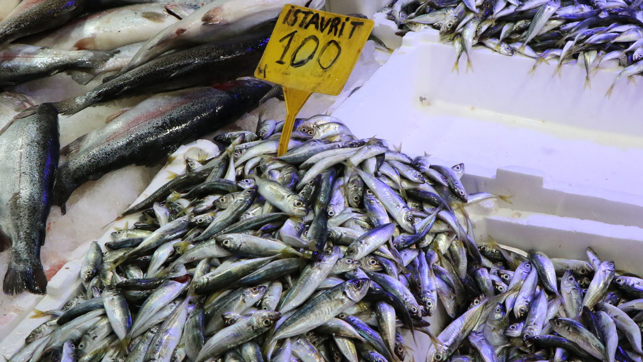 Foto - Balıkçıların gözü yarında! Karadeniz hamsisi geliyor