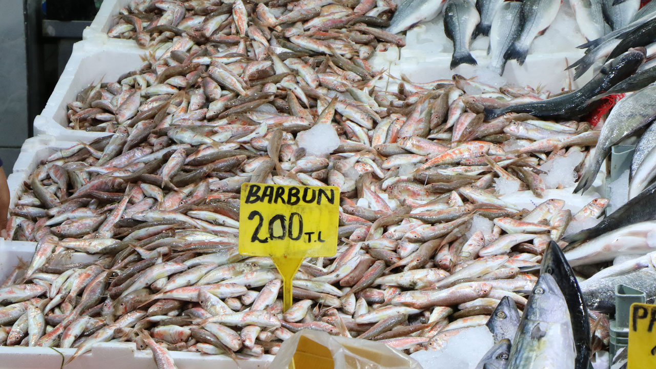 Foto - Balıkçıların gözü yarında! Karadeniz hamsisi geliyor