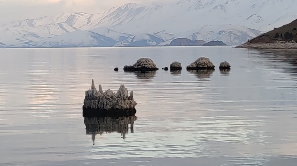 Foto - Balıkçıların korkulu rüyası oldu! Sular çekilmeye başlayınca ortaya çıktı