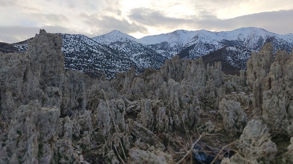 Foto - Balıkçıların korkulu rüyası oldu! Sular çekilmeye başlayınca ortaya çıktı