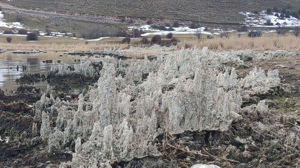 Foto - Balıkçıların korkulu rüyası oldu! Sular çekilmeye başlayınca ortaya çıktı