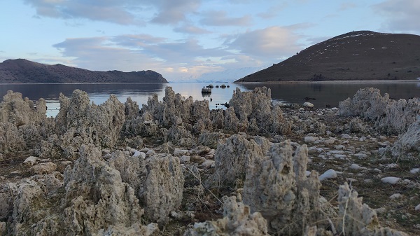 Foto - Balıkçıların korkulu rüyası oldu! Sular çekilmeye başlayınca ortaya çıktı