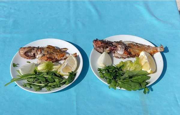 Foto - Balıkçıların korkulu rüyası şeflerin yeni favorisi oldu