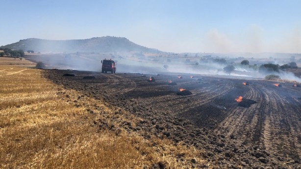 Balıkesir'de tarlada yangın