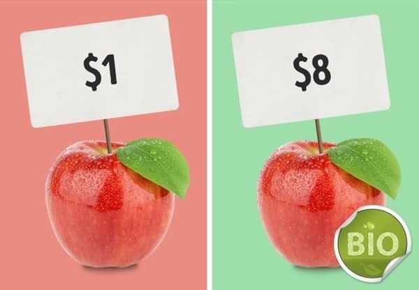 Foto - Balığın yanında süt ürünü tüketilir mi? Yanlış biliyoruz!