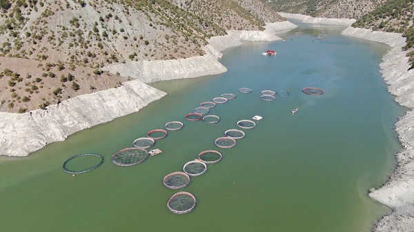 Foto - Balıklar kaçtı! Oltasını kapan koştu