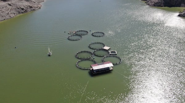 Foto - Balıklar kaçtı! Oltasını kapan koştu