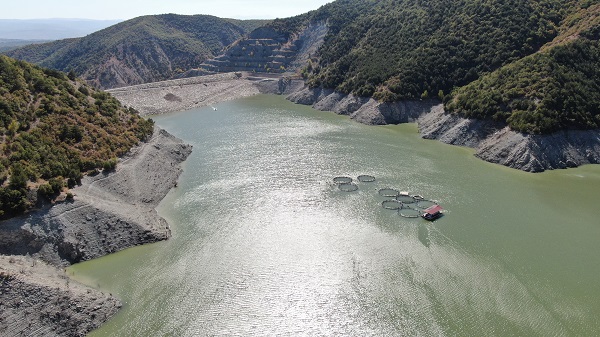 Foto - Balıklar kaçtı! Oltasını kapan koştu