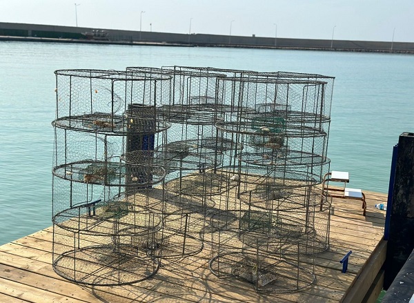 Foto - Balıklar özgürlüklerine böyle kavuştu