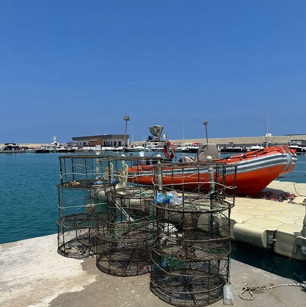 Foto - Balıklar özgürlüklerine böyle kavuştu