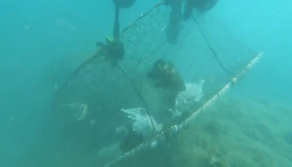 Balıklar özgürlüklerine böyle kavuştu